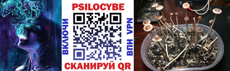 Галлюциногенные грибы мицелий  Купить где  Гагарин 