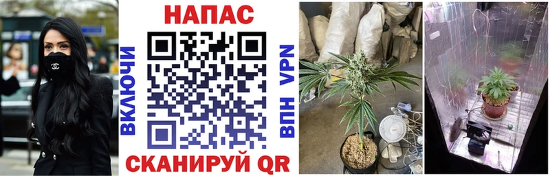 Купить закладки  Гагарин  Шишки марихуана Ganja 